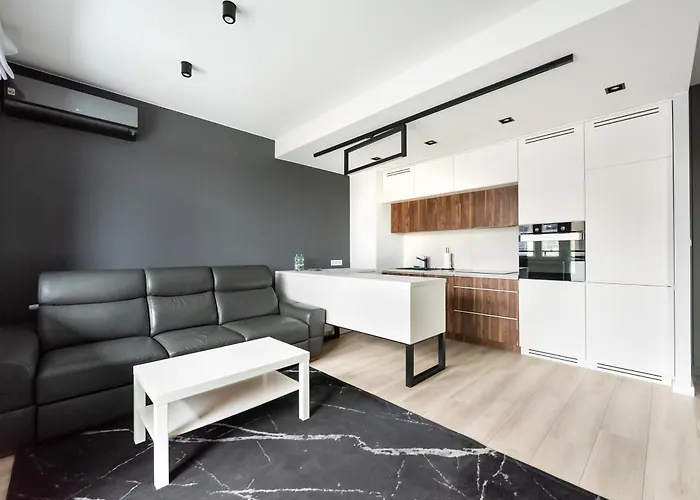 Racjonalizacji Modern Apartment